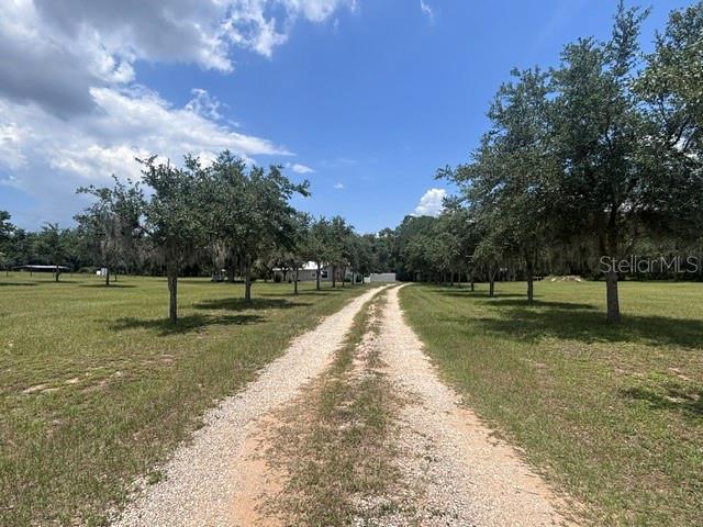 A gravel driveway leads through a grassy field toward a house surrounded by trees — 12601 DOUBLE RUN RD, ASTATULA, FL