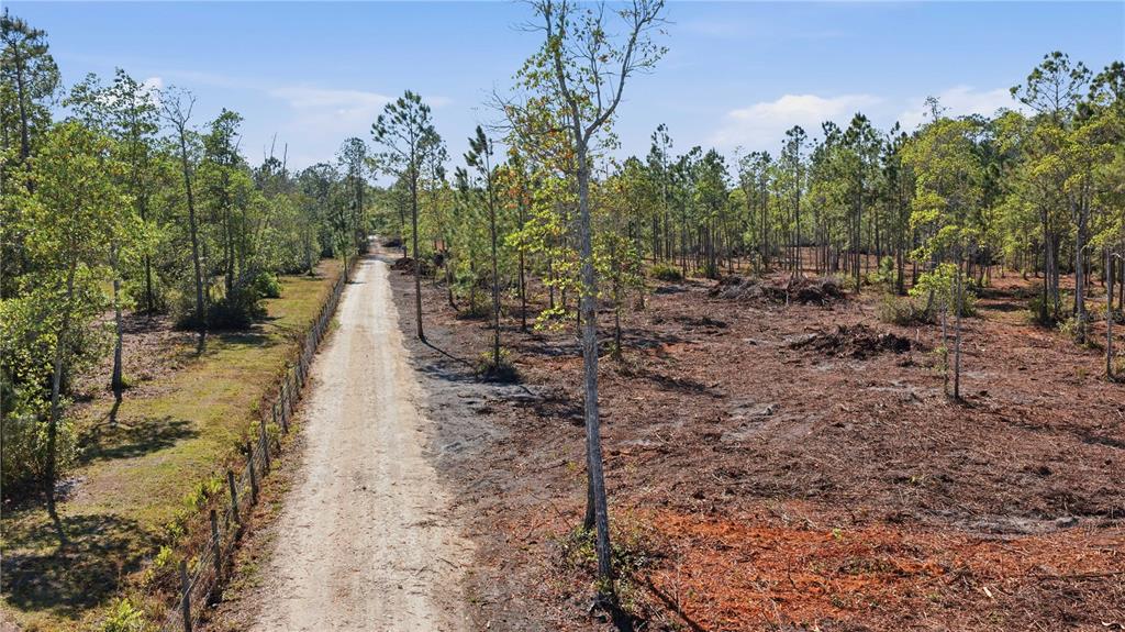 A dirt road runs through a partially cleared wooded lot with a wire fence — TBD NE 125TH AVENUE, FORT MC COY, FL