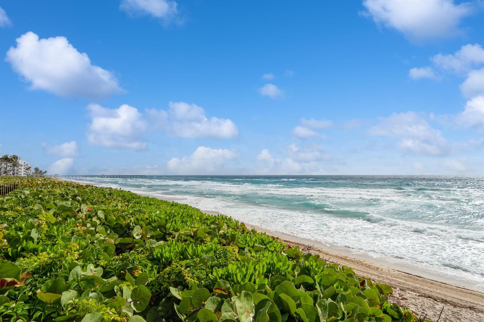 A view of a sandy beach with green coastal vegetation and a distant pier — 3200 S Ocean Boulevard # B104, Palm Beach FL 33480, PALM BEACH, FL