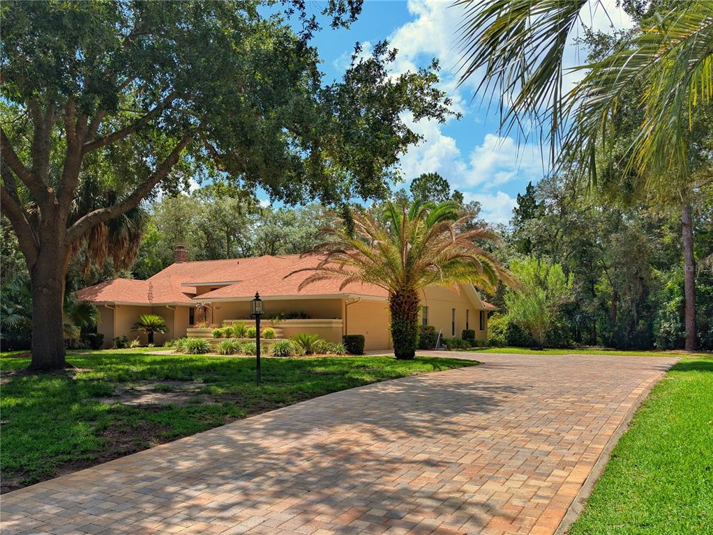 A single-story house with a brick paver driveway, a palm tree, and mature trees — 4023 N RINGWOOD CIRCLE, HERNANDO, FL