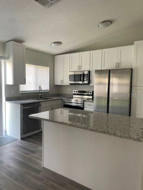 A kitchen features white cabinets, granite countertops, stainless steel appliances, and wood-look flooring — 1100 LOWRY AVENUE UNIT 33, LAKELAND, FL