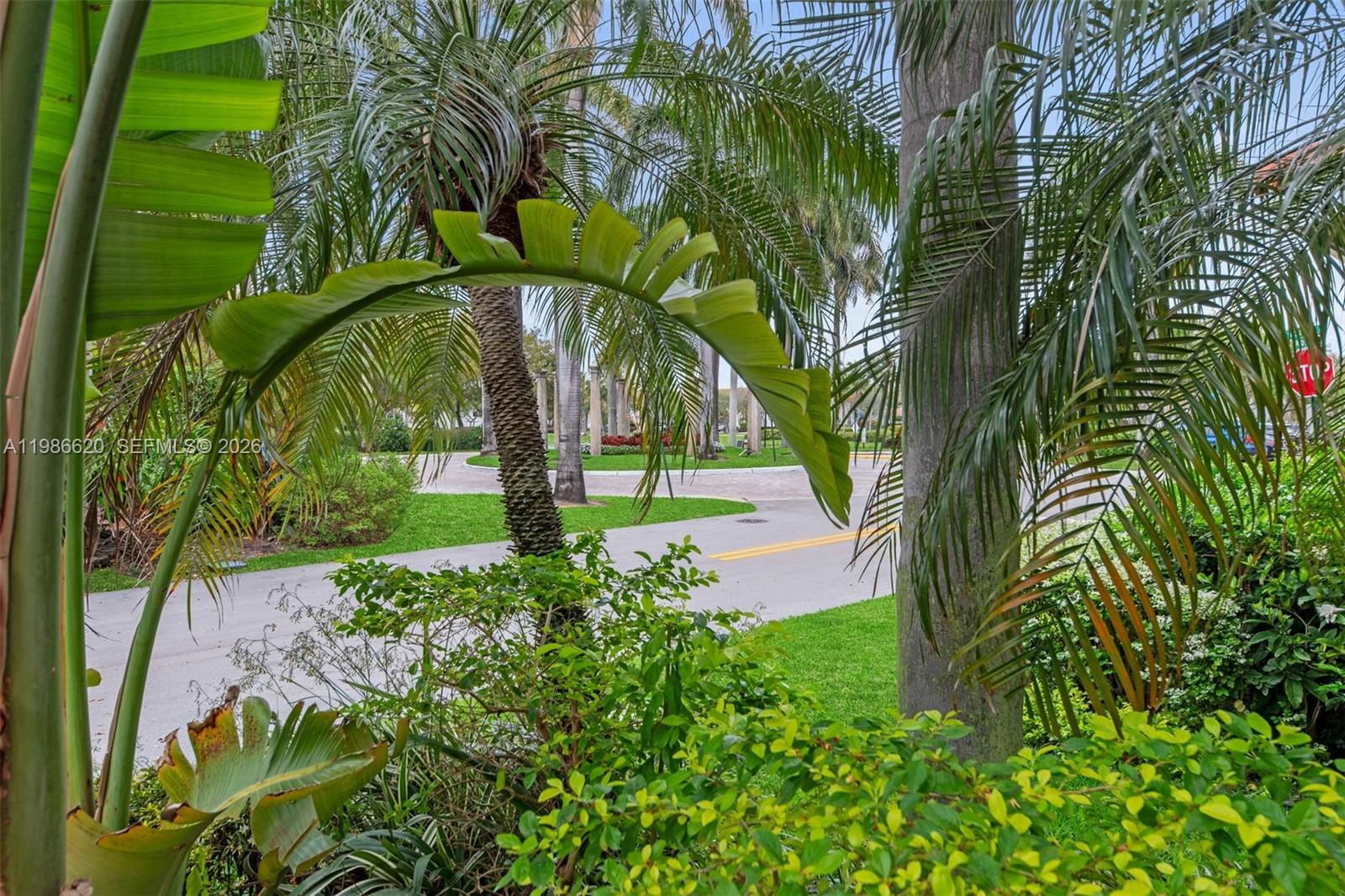 A view of a paved road curving through a lush, palm-filled tropical landscape — 1104 Redwood St, Hollywood FL 33019, HOLLYWOOD, FL