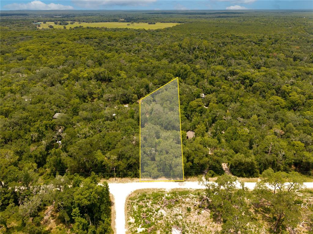 An aerial view shows a wooded, rectangular plot of land highlighted by a yellow outline — 7337 RIVERVIEW DRIVE, WEBSTER, FL