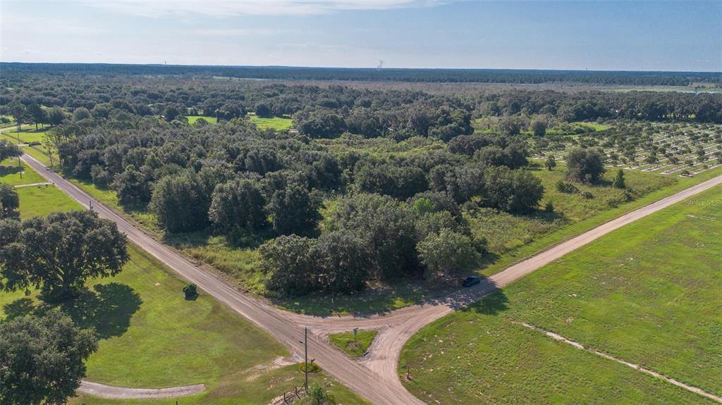 YALE HAMMOCK ROAD, UMATILLA, FL — photo 3 of 20
