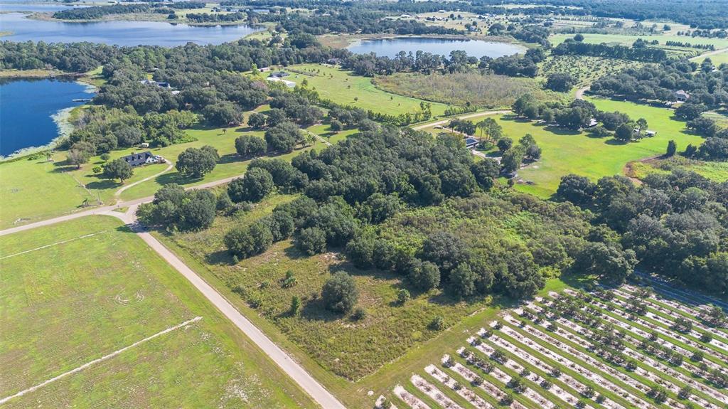 YALE HAMMOCK ROAD, UMATILLA, FL — photo 4 of 20