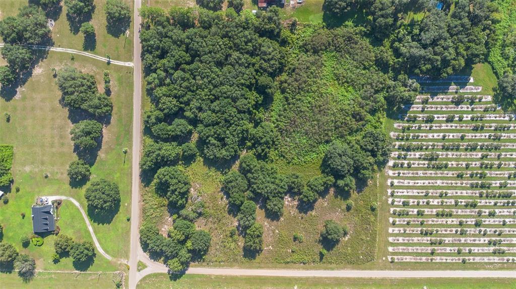 YALE HAMMOCK ROAD, UMATILLA, FL — photo 5 of 20