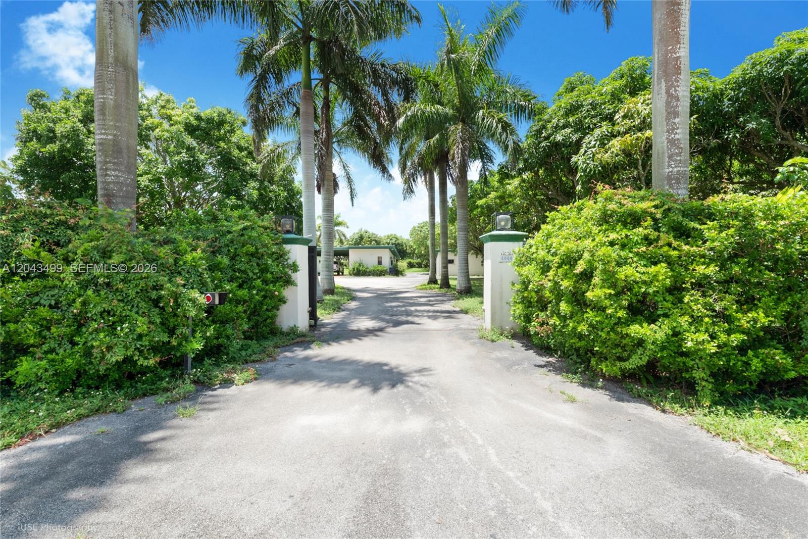 A paved driveway leads through a gated entrance flanked by lush greenery and tall palm trees — 8000 SW 184th St, Cutler Bay FL 33157, CUTLER BAY, FL
