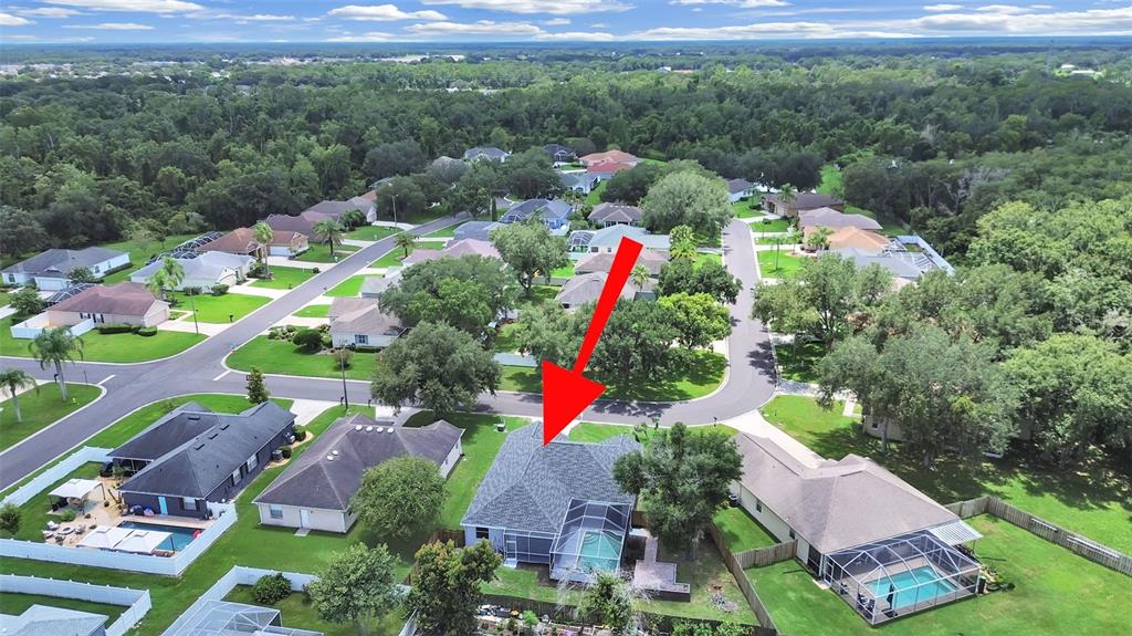 An aerial view shows a suburban house with a pool enclosure and a red arrow — 3313 MICHENER PLACE, PLANT CITY, FL