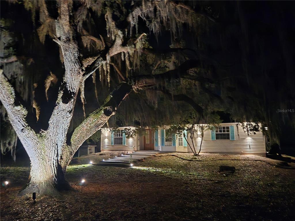 A single-story house with light siding and blue shutters is illuminated at night by landscape lighting — 560 EDEN DRIVE, ST CLOUD, FL