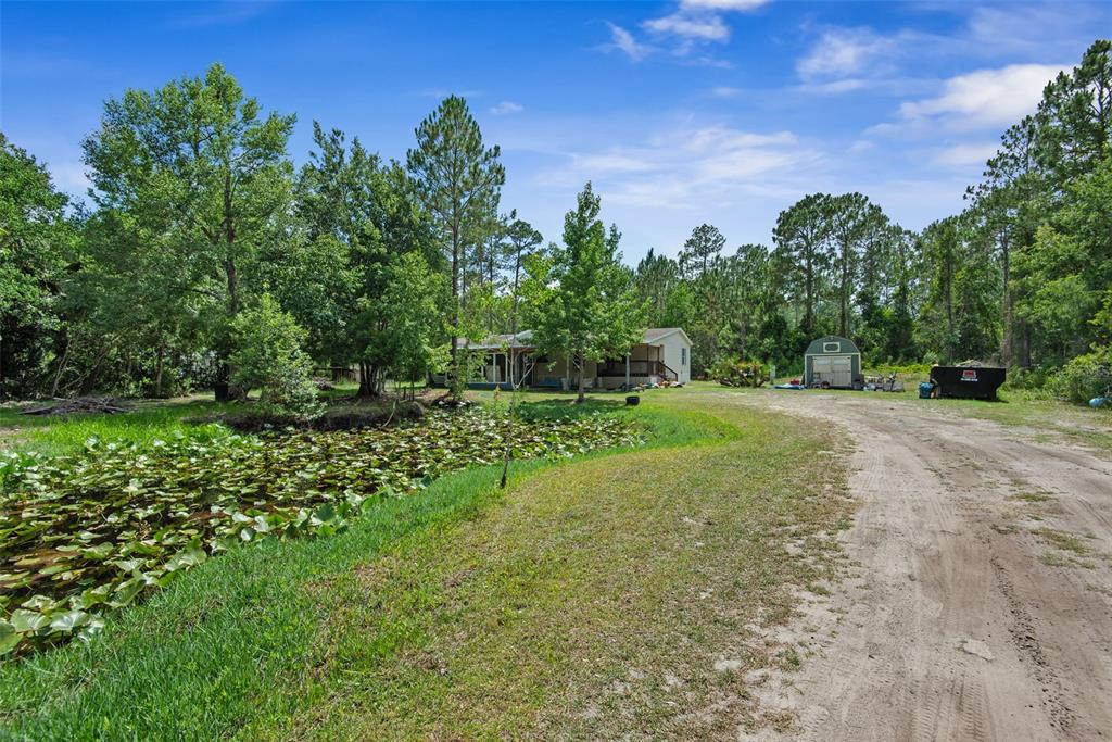 A house and shed sit on a wooded lot next to a lily pad pond — 2094 ELDER STREET, BUNNELL, FL