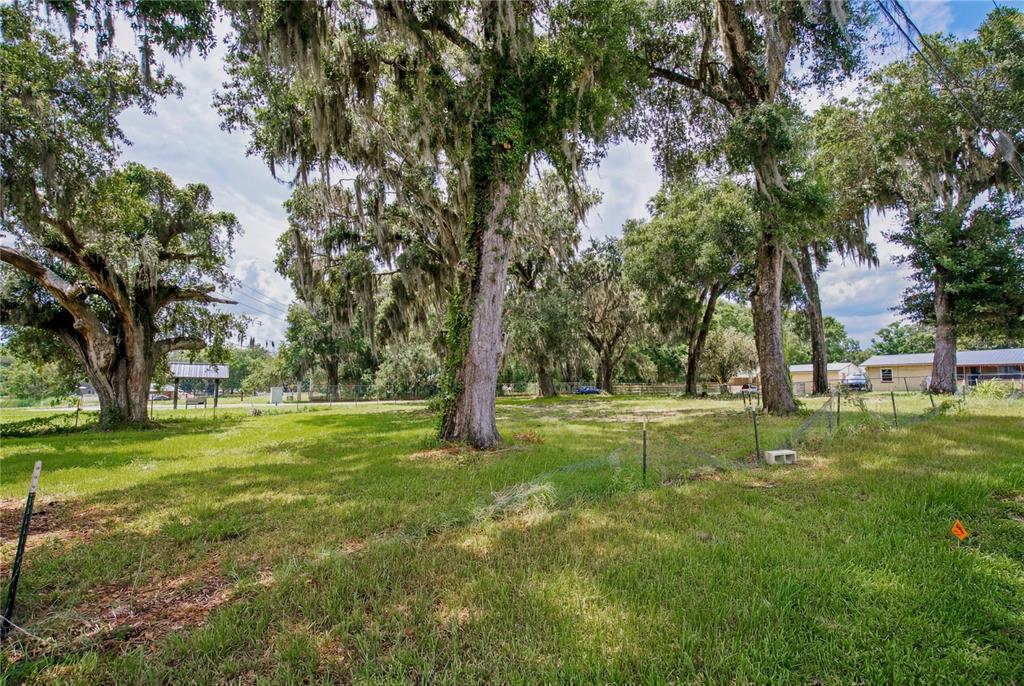 A grassy, tree-filled lot features large oak trees draped with Spanish moss and wire fencing — 720 HUNTINGTON ROAD, CRESCENT CITY, FL