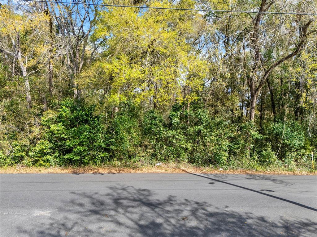 709 S SMITH AVENUE, INVERNESS, FL — photo 5 of 17