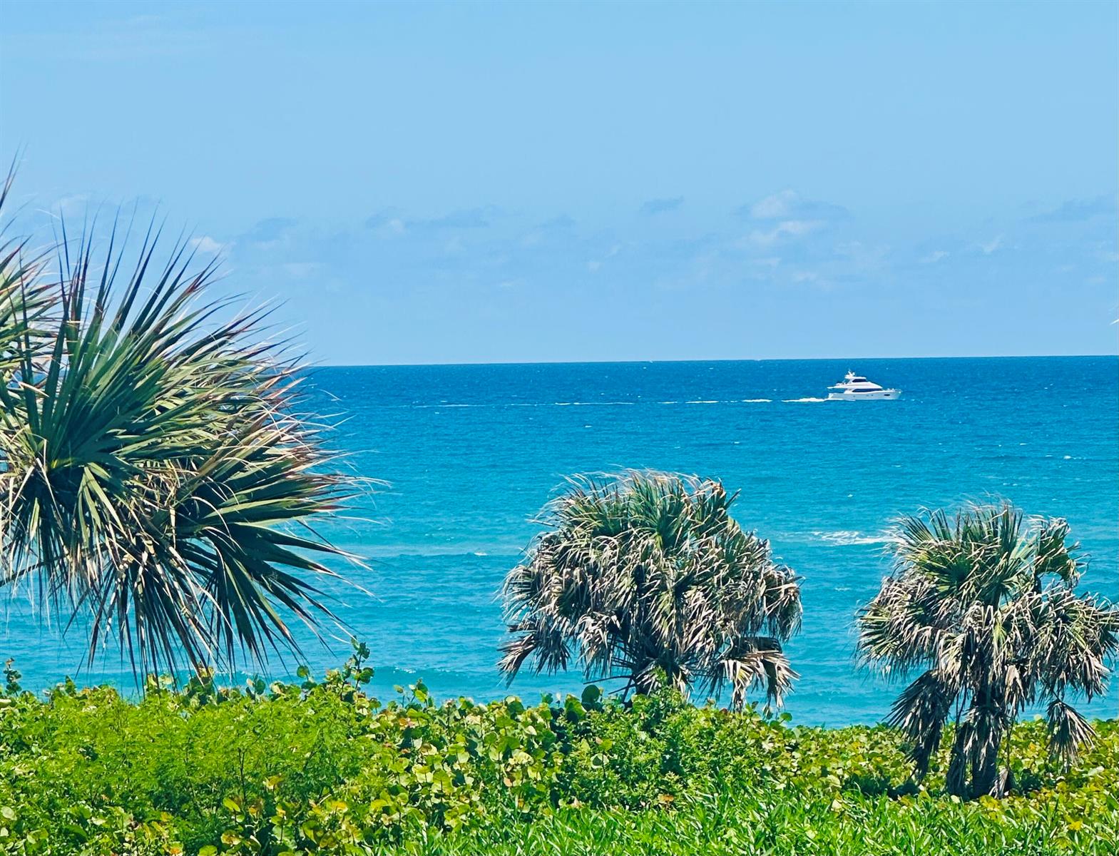 A view of the ocean with three palm trees in the foreground and a yacht — 420 Celestial Way # 303, Juno Beach FL 33408, JUNO BEACH, FL