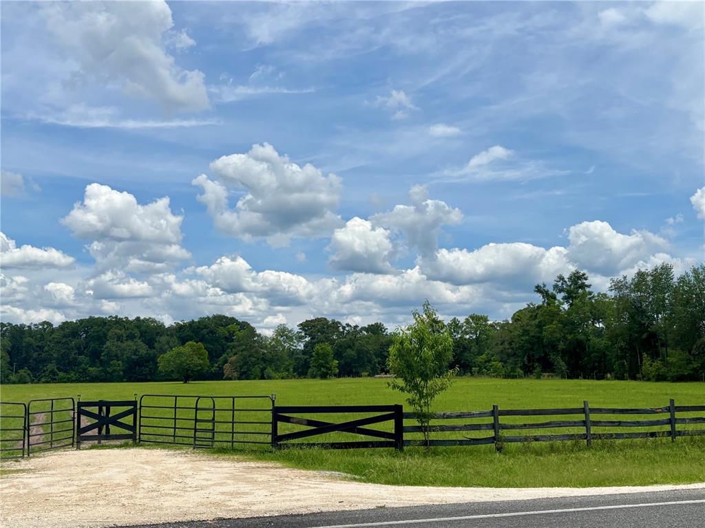 A gravel driveway leads to a fenced pasture with trees under a cloudy blue sky — NW 202ND STREET, HIGH SPRINGS, FL