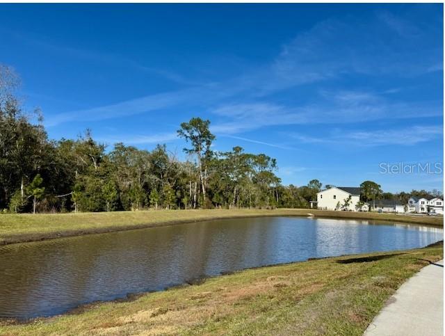 This document lists the kitchen design features, including cabinetry, hardware, countertops, backsplash, flooring, faucet, and sink — 8056 TIMBERWOOD LANE, ORLANDO, FL