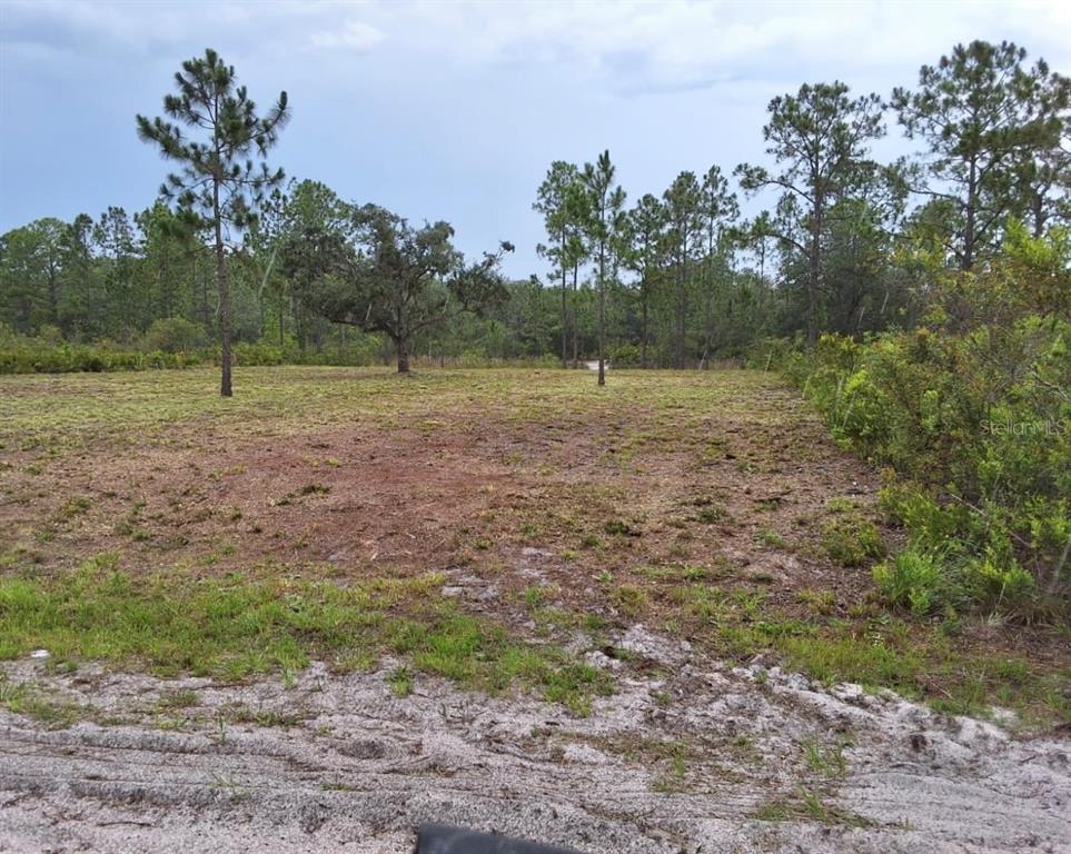 A cleared, grassy lot with scattered trees under a cloudy sky — 1108 PALM AVENUE, INDIAN LAKE ESTATES, FL