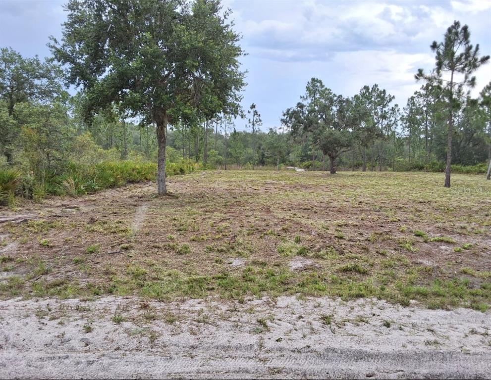 A cleared, grassy residential lot features scattered trees under a cloudy sky — 1108 PALM AVENUE, INDIAN LAKE ESTATES, FL
