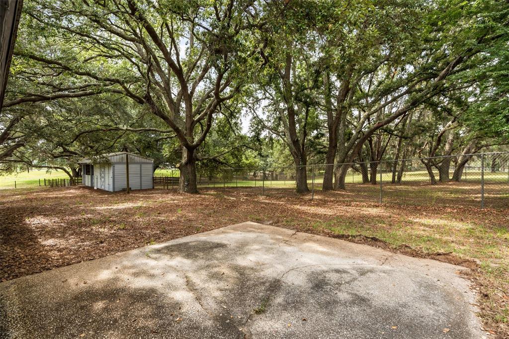 A concrete patio overlooks a grassy backyard with large trees and a small shed — 16104 SANDHILL ROAD, WINTER GARDEN, FL