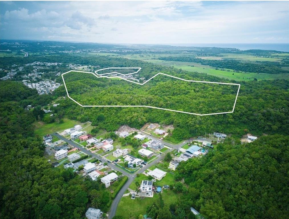 An aerial view shows a large, outlined plot of forested land adjacent to a residential neighborhood — PR 616 LA MONSERRATE, MANATI, PR