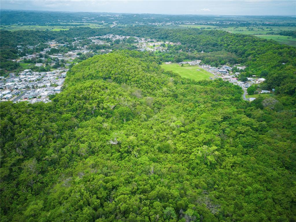An aerial view shows a large, dense forest area adjacent to a residential neighborhood — PR 616 LA MONSERRATE, MANATI, PR