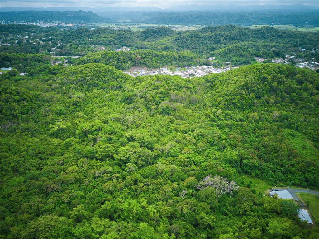An aerial view of a lush, hilly landscape with scattered residential buildings in the distance — PR 616 LA MONSERRATE, MANATI, PR