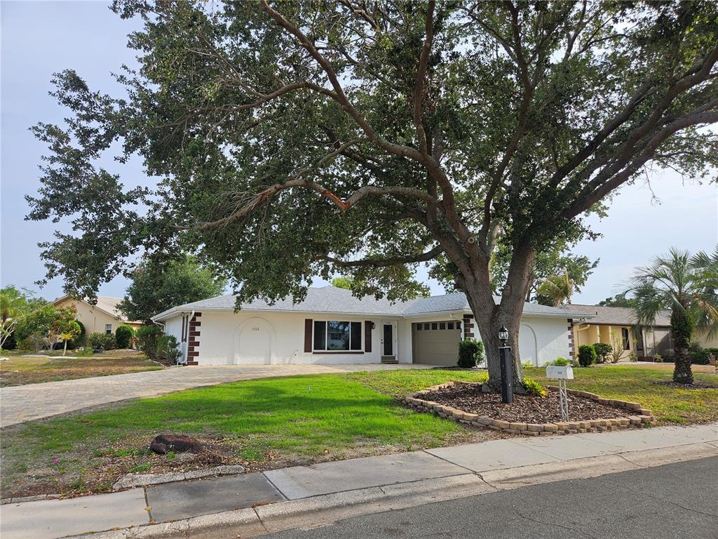 A single-story house with a large oak tree in the front yard and a driveway — 1508 FLAMINGO LANE, SUN CITY CENTER, FL