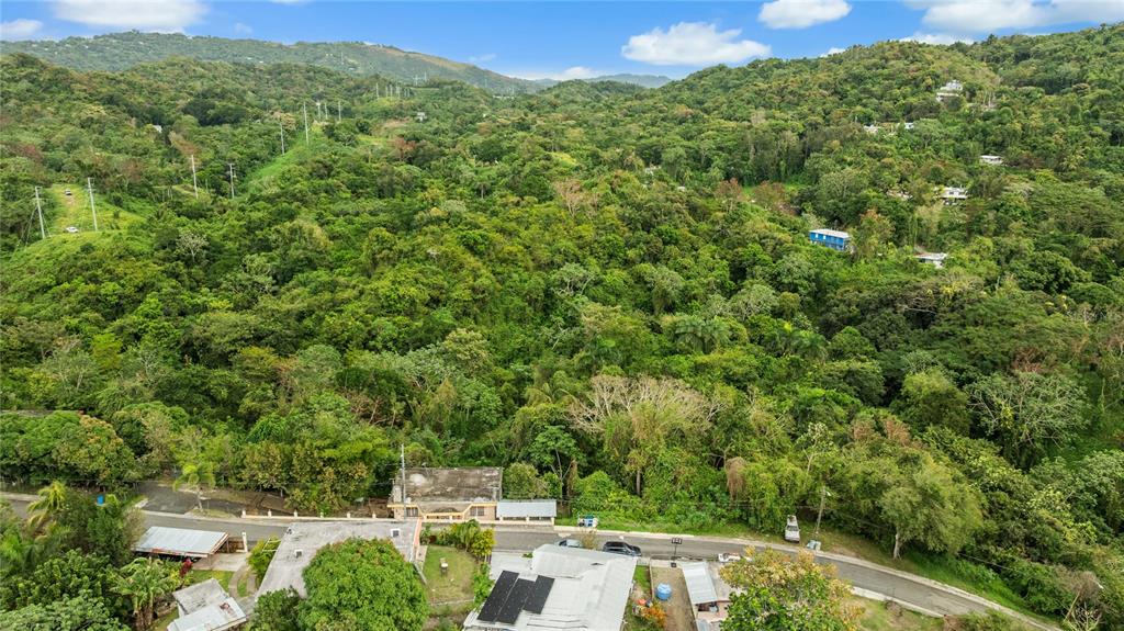 An aerial view shows a residential street bordered by dense forest and rolling green hills — BO. JAGUITAS SOLAR 2, HORMIGUEROS, PR