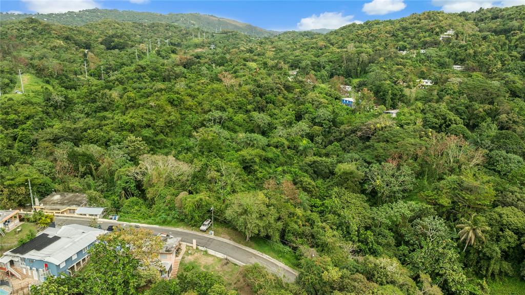 An aerial view shows a winding road passing through a lush, hilly, forested landscape — BO. JAGUITAS SOLAR 2, HORMIGUEROS, PR