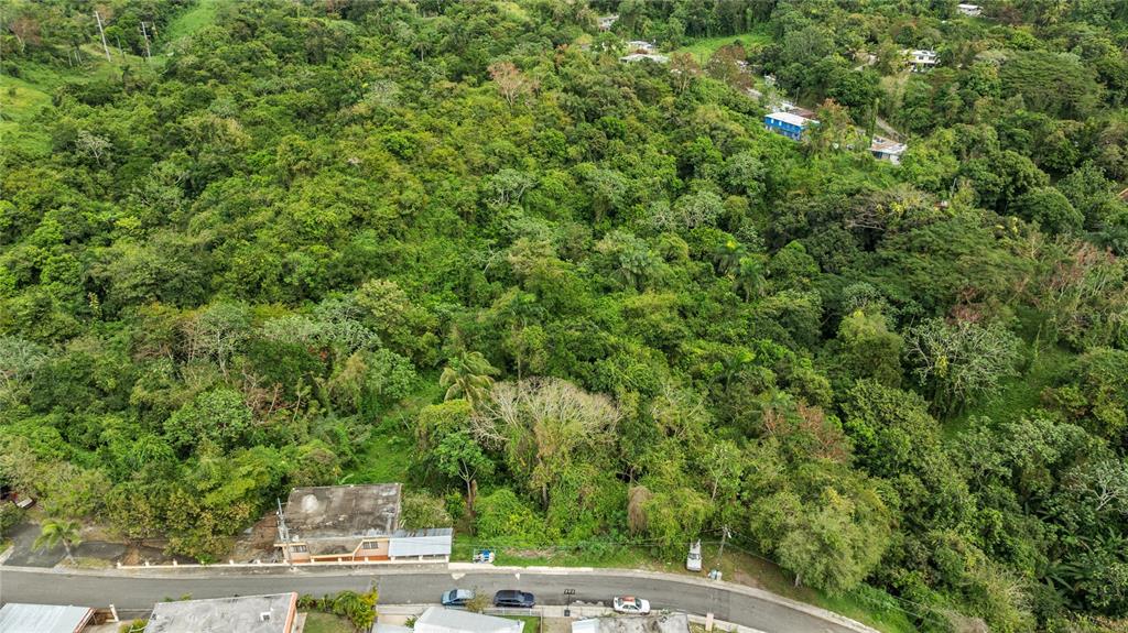 An aerial view shows a densely forested hillside lot adjacent to a paved residential street — BO. JAGUITAS SOLAR 2, HORMIGUEROS, PR