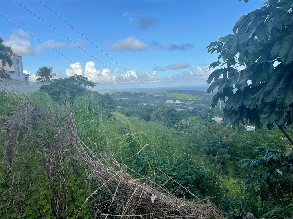 A view of a grassy hillside overlooking a valley with distant buildings and the ocean — 3 CANDELERO UNIT 1, HUMACAO, PR