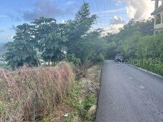 A paved road winds past a grassy, sloped lot with trees and a parked car — 3 CANDELERO UNIT 1, HUMACAO, PR