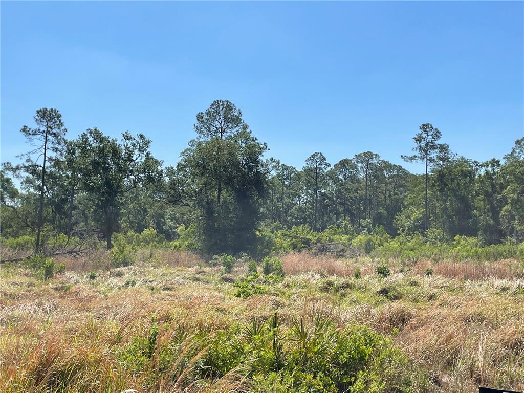 AVONWOOD