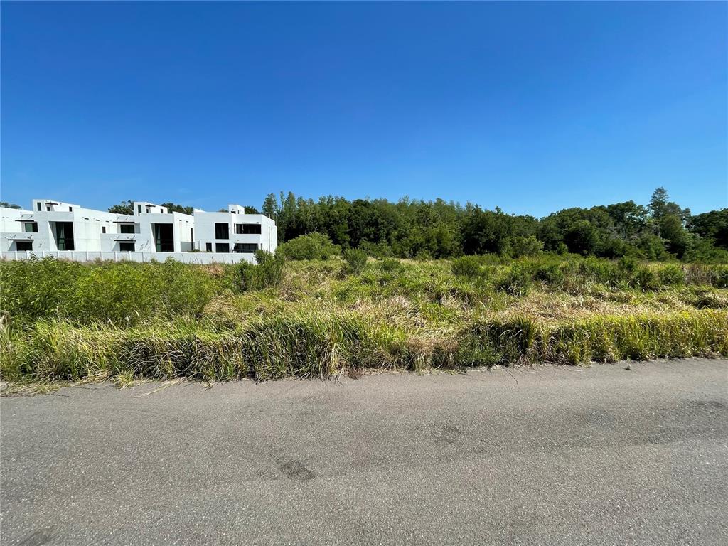A vacant, grassy lot sits next to a modern white building under a clear sky — AVONWOOD, TAMPA, FL