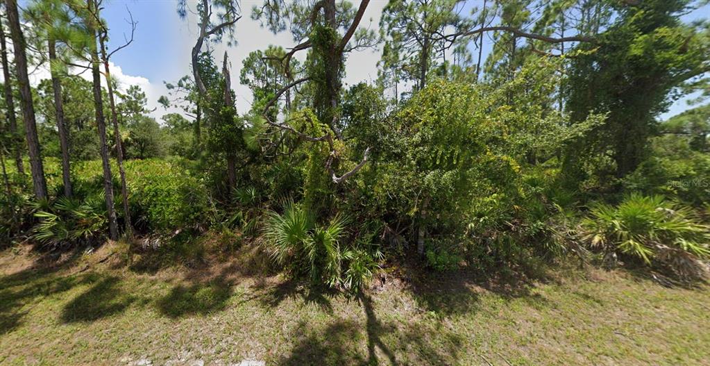 A dense, wooded lot features tall pine trees, palmettos, and thick underbrush — 27043 TANGIER DRIVE, PUNTA GORDA, FL