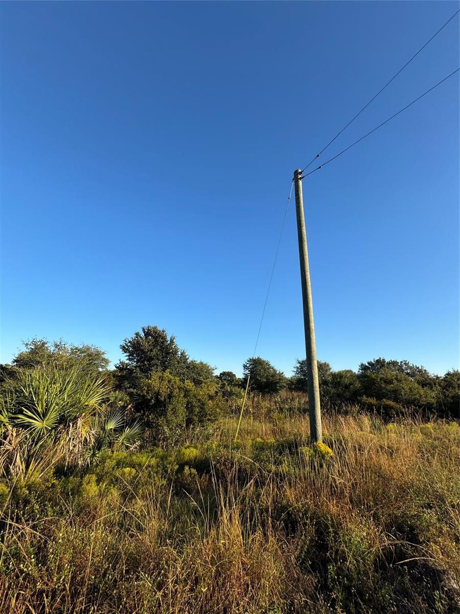 A wooden utility pole stands in a field of tall grass under a clear sky — 2025 Cabbage Lane, Okeechobee FL 34974, OKEECHOBEE, FL