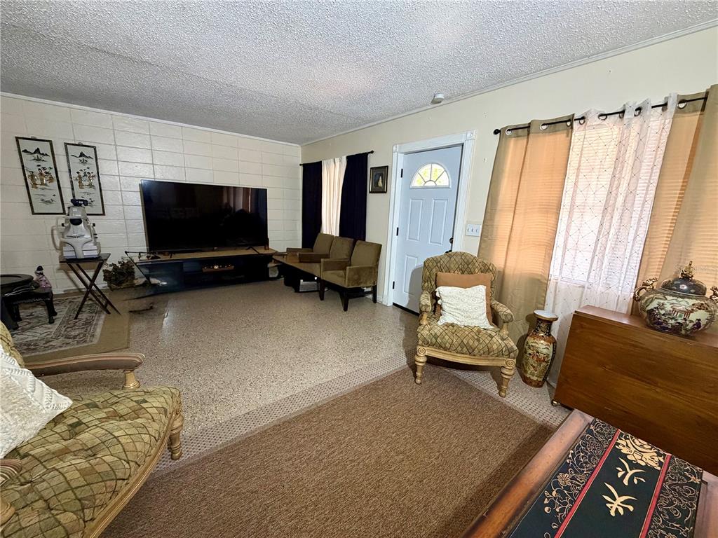 A living room features a large television, patterned armchairs, and a speckled concrete floor — 317 AVENUE G SE, WINTER HAVEN, FL