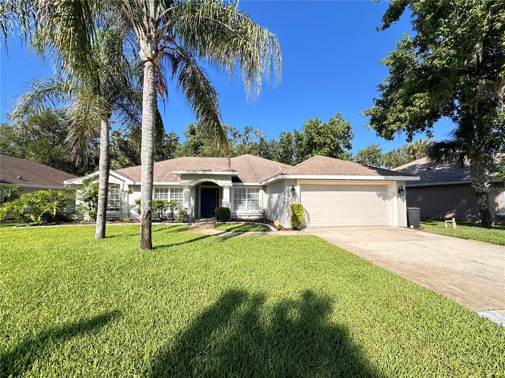 30 WILD FERN LANE