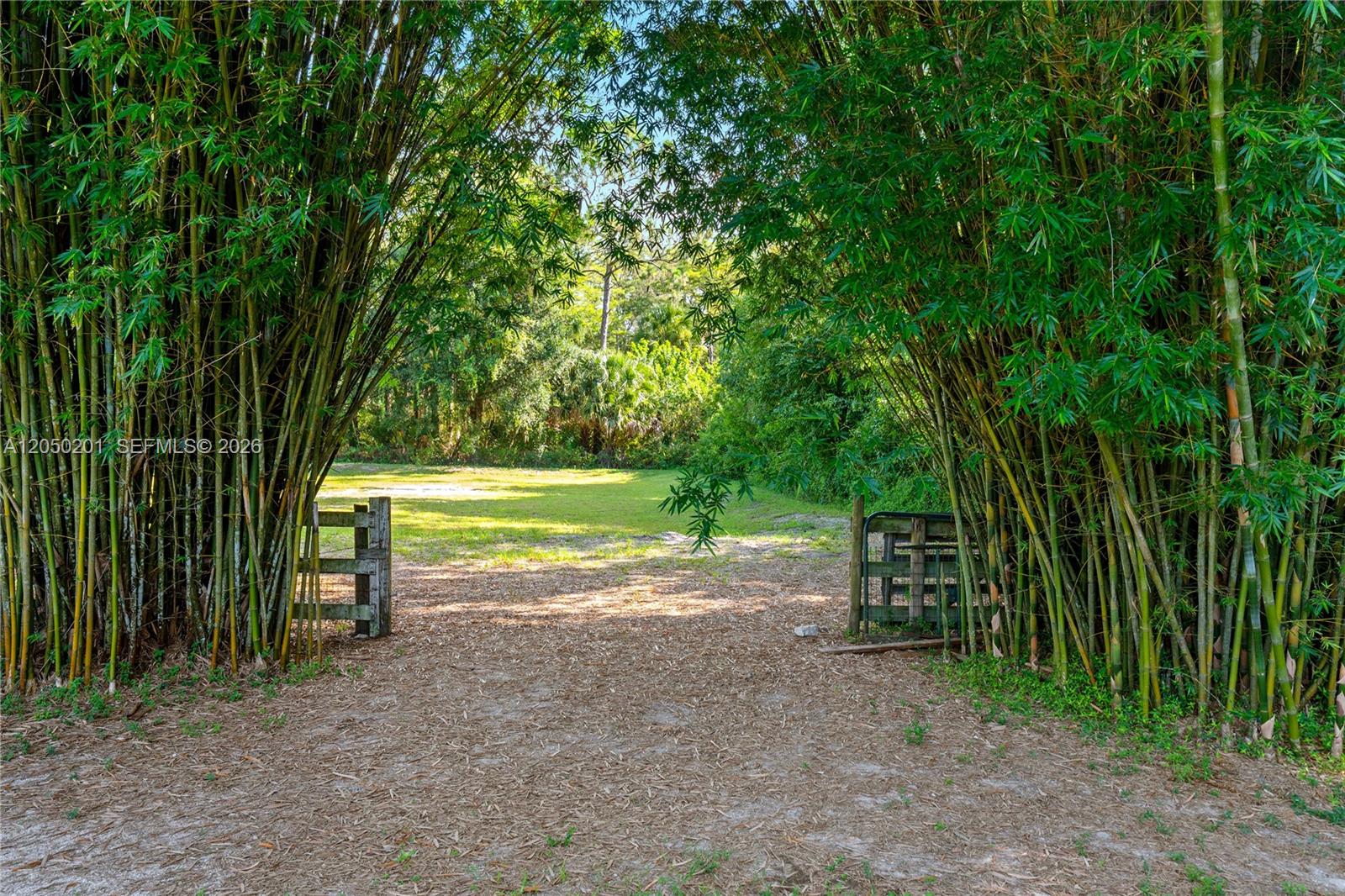 A dirt path leads through a bamboo-lined entrance toward an open, grassy field — 1068 D Rd, Loxahatchee FL 33470, LOXAHATCHEE, FL