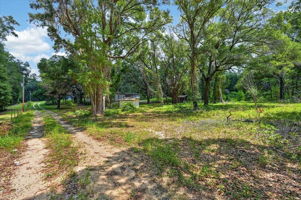 A dirt path leads through a wooded lot toward a small, weathered mobile home — 130 WINDY HILLS ROAD, HAWTHORNE, FL