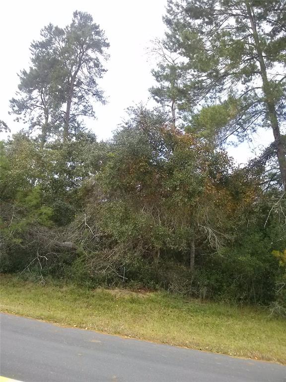 00 MARION OAKS BOULEVARD, OCALA, FL — photo 2 of 2