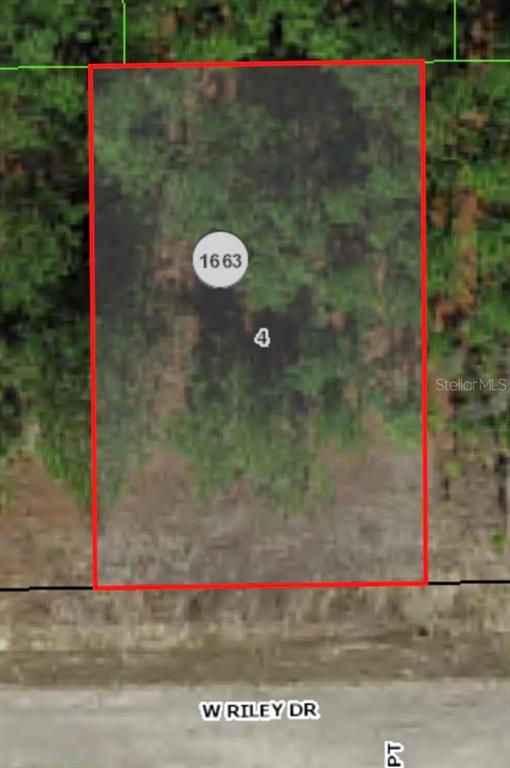 This is an aerial map view of a rectangular vacant lot bordering a paved road — 1233 W RILEY DRIVE, CITRUS SPRINGS, FL