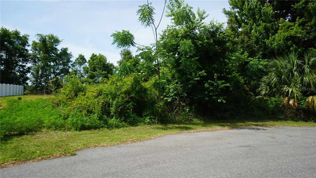 A view of a vacant, overgrown lot next to a paved road — MARILYN AVENUE, HOWEY IN THE HILLS, FL