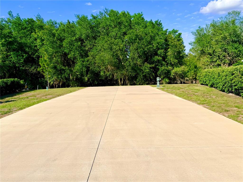 A wide concrete driveway leads toward a dense line of trees under a blue sky — 4933 SE 92ND BOULEVARD, WEBSTER, FL