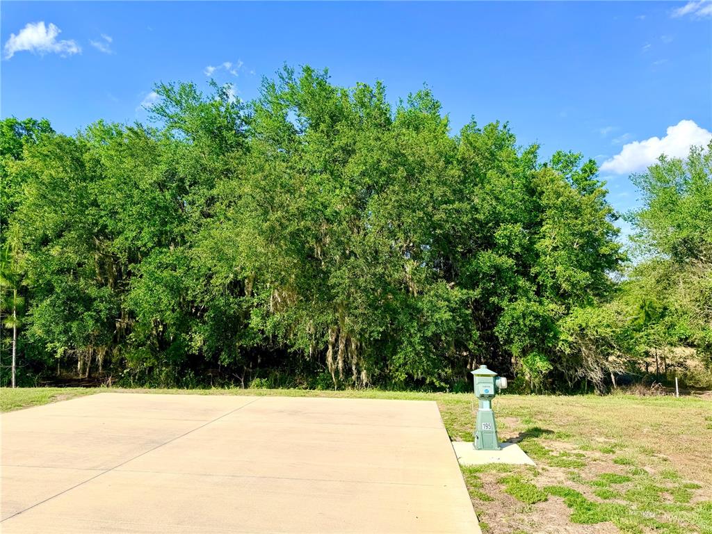 A concrete pad sits in front of a dense line of trees with a utility pedestal — 4933 SE 92ND BOULEVARD, WEBSTER, FL
