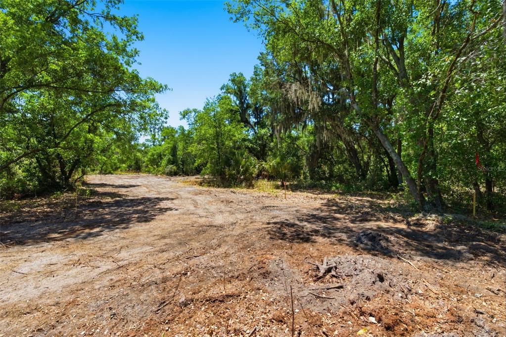 An aerial view shows a large, wooded plot of land divided into five numbered sections — 19084 RED BIRD LANE LOT 4, LITHIA, FL