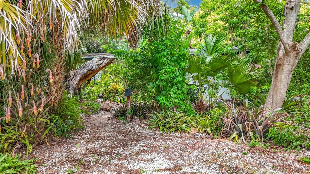 A gravel path leads through a lush, tropical garden toward a house obscured by foliage — 6330 EMERSON AVENUE S, ST PETERSBURG, FL