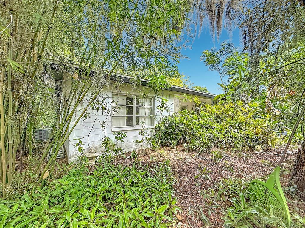 A white, single-story house is partially obscured by dense bamboo and overgrown landscaping — 6330 EMERSON AVENUE S, ST PETERSBURG, FL