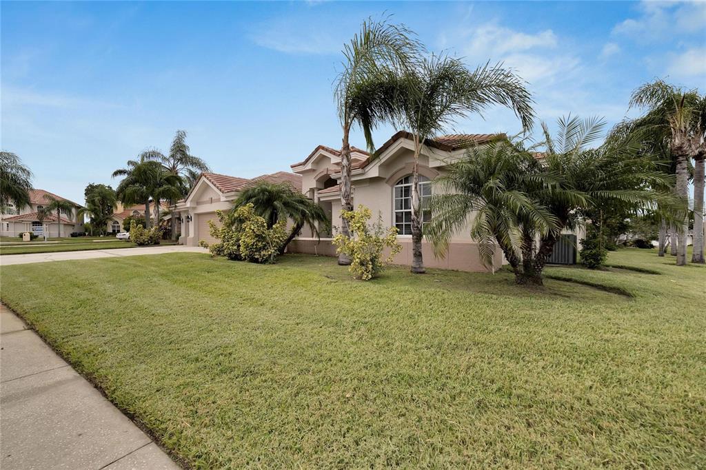 A single-story stucco house with a tiled roof and palm trees in the front yard — 10301 MANTA WAY, TAMPA, FL