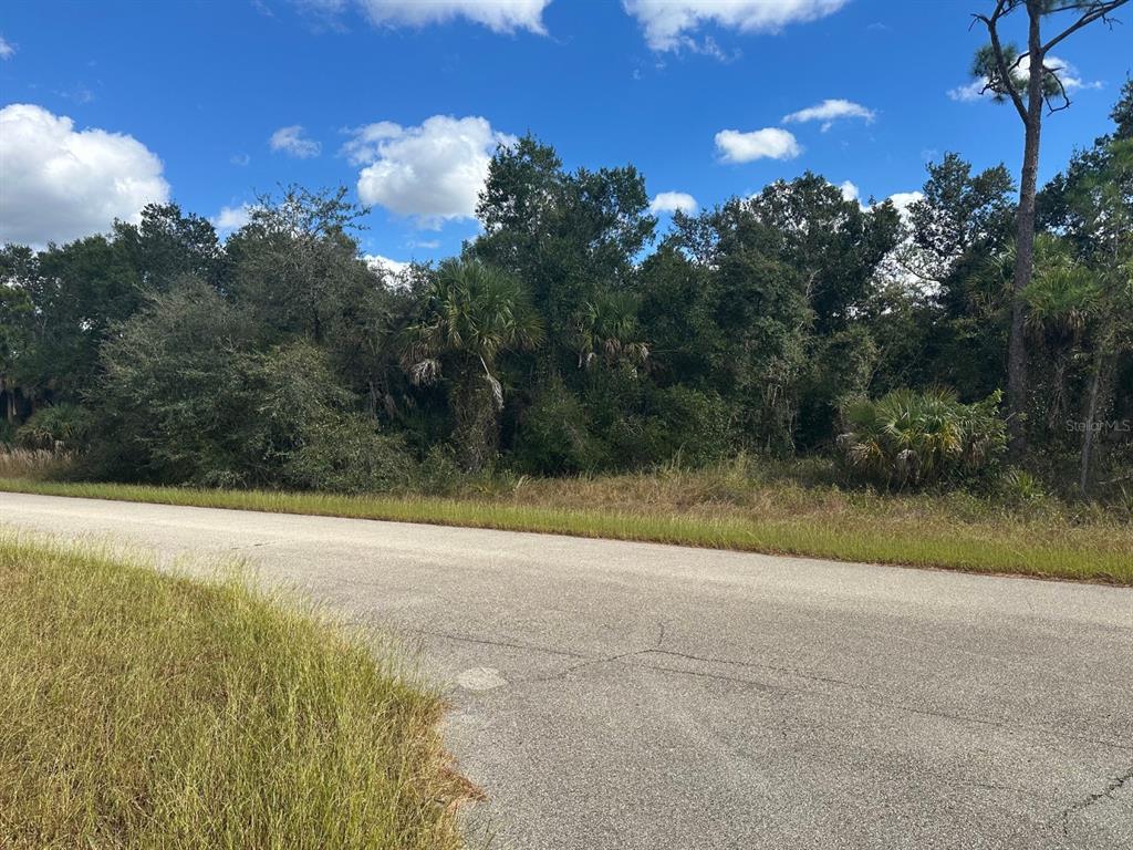 A paved road runs in front of a wooded lot with trees and shrubs — 0 LISA BOULEVARD, NORTH PORT, FL