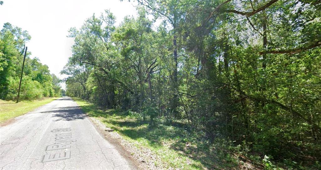 A paved road runs alongside a dense, wooded lot with mature trees and thick vegetation — 3958 E RYAN STREET, INVERNESS, FL